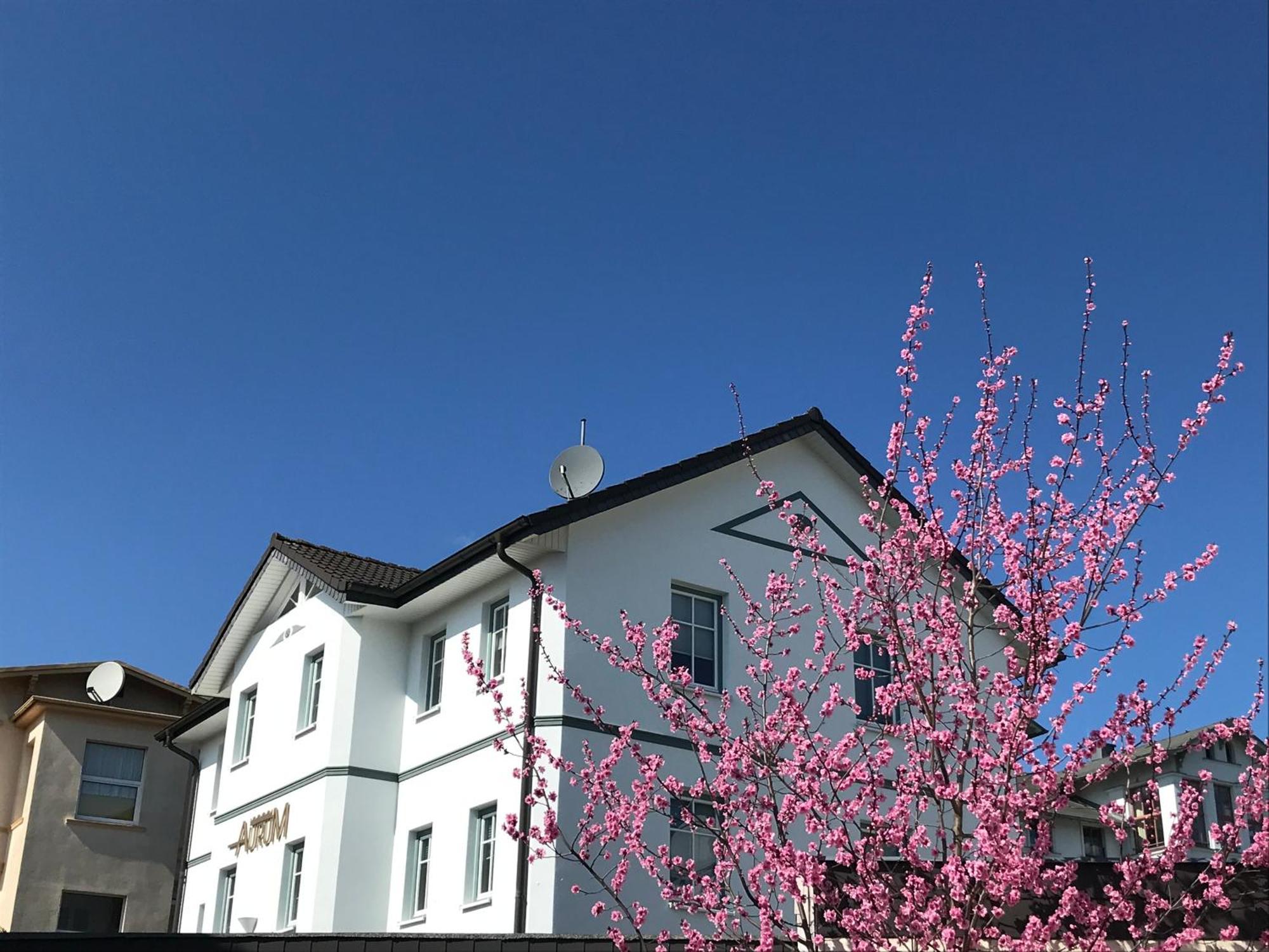 Apartmenthaus Aurum Heringsdorf  Extérieur photo